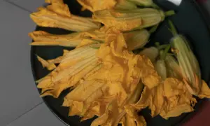 Un piatto scuro pieno di vibranti fiori di zucca pronti per essere cucinati.