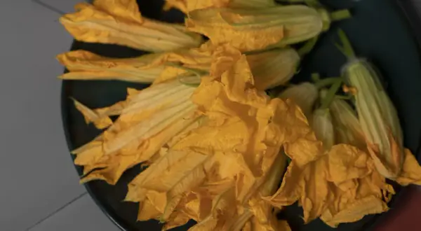 Un piatto scuro pieno di vibranti fiori di zucca pronti per essere cucinati.