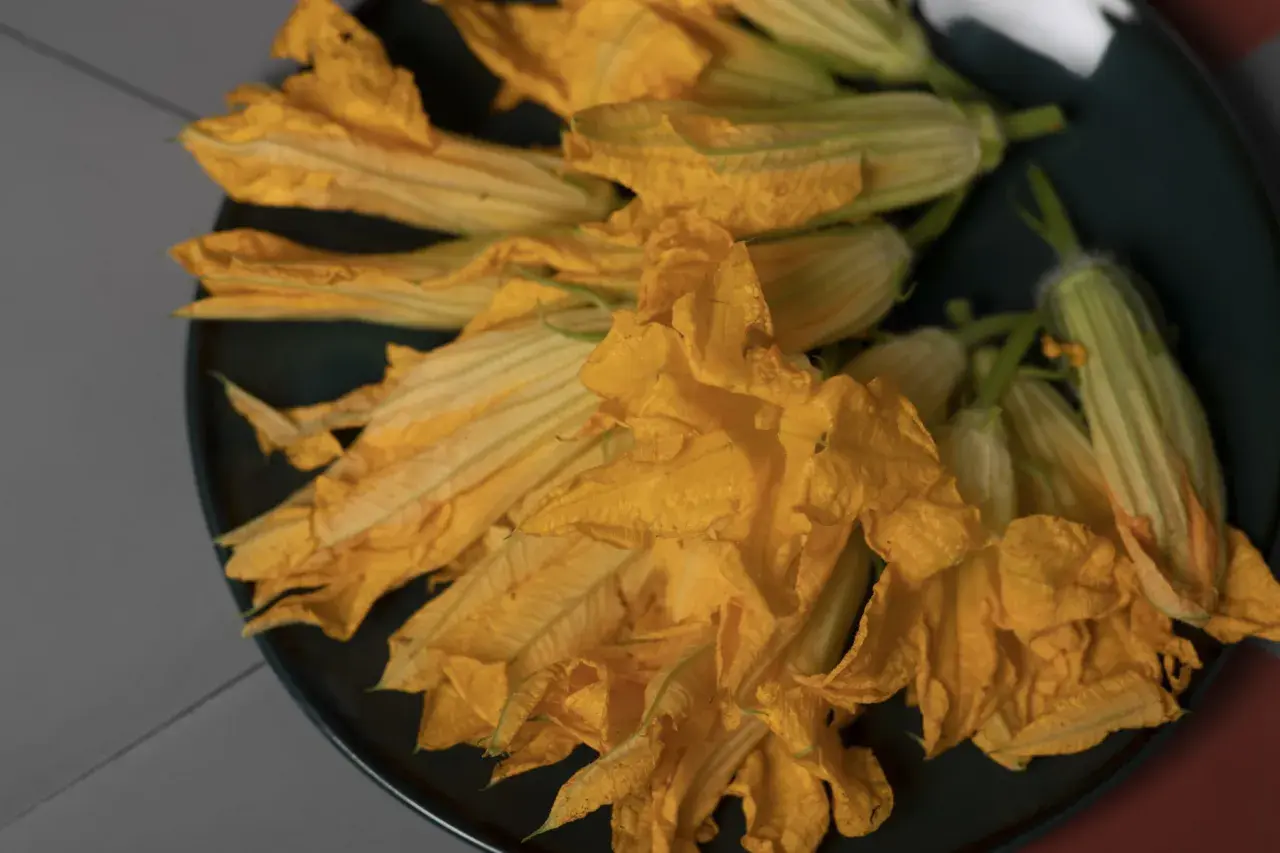 Un piatto scuro pieno di vibranti fiori di zucca pronti per essere cucinati.