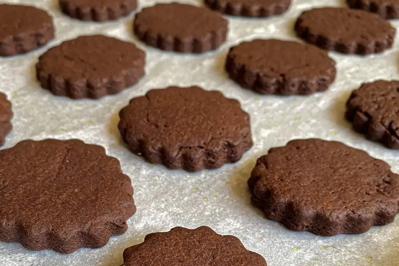Deliziosi biscotti al cioccolato, appena sfornati e pronti per essere gustati.