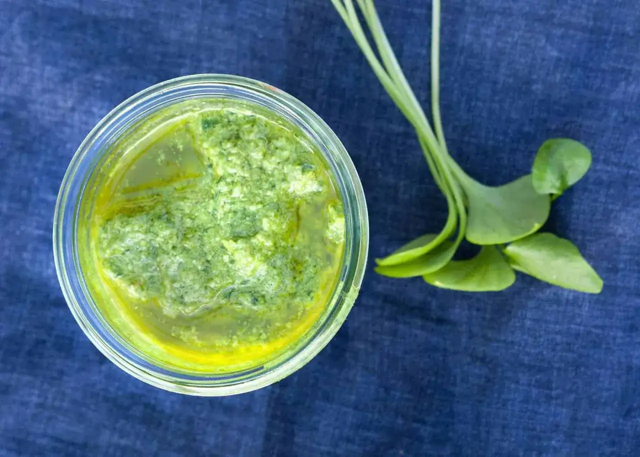 Un vasetto di pesto di portulaca, fresco e vibrante, accanto a un ciuffo delle sue foglie verdi su sfondo blu.